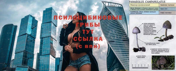 гидропоника Верхний Тагил