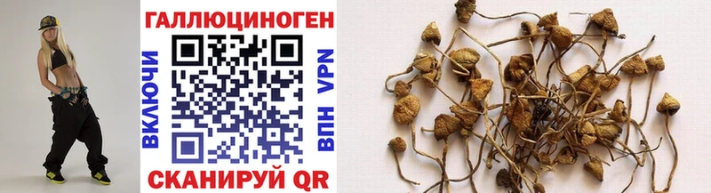 Псилоцибиновые грибы мухоморы  Купить где  Верещагино 